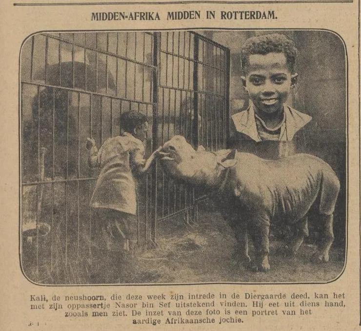 Rotterdam 1931 rhino with Nasor bin Sef