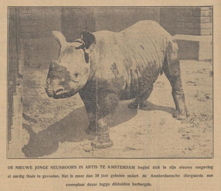 Amsterdam 1931 From Tanzania