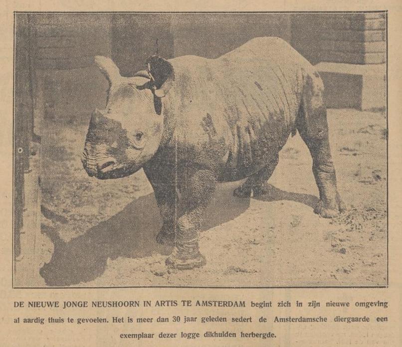 Amsterdam 1931 From Tanzania