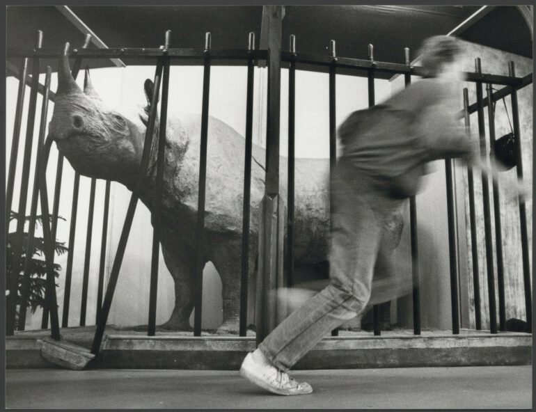 Amsterdam 1967 female Faroe