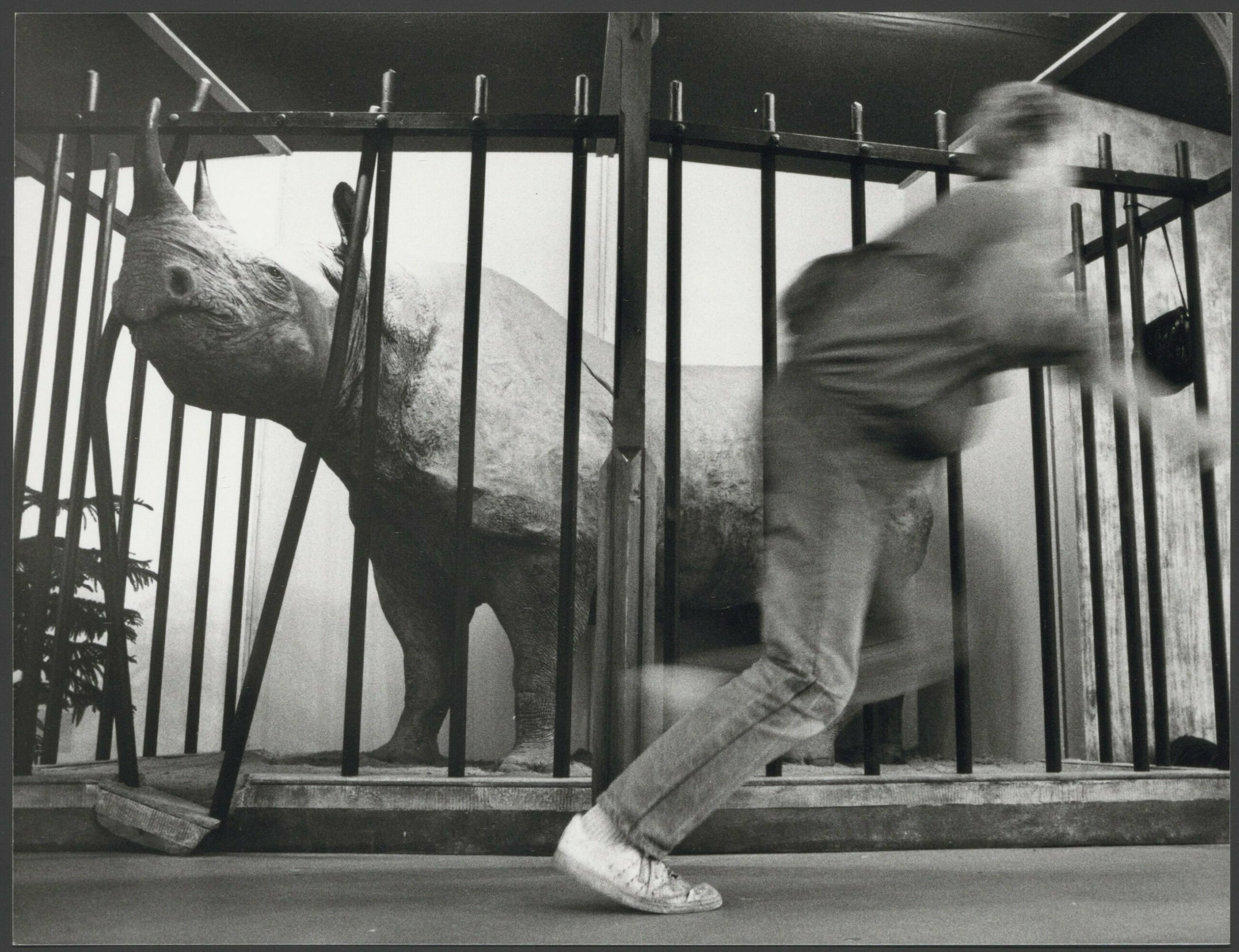 Amsterdam 1967 female Faroe