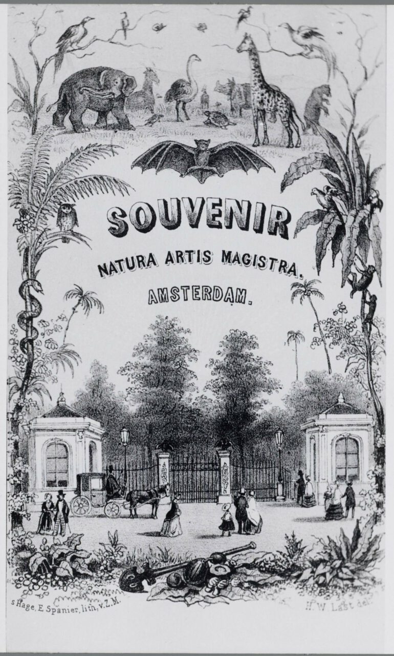 Souvenir Amsterdam Zoo