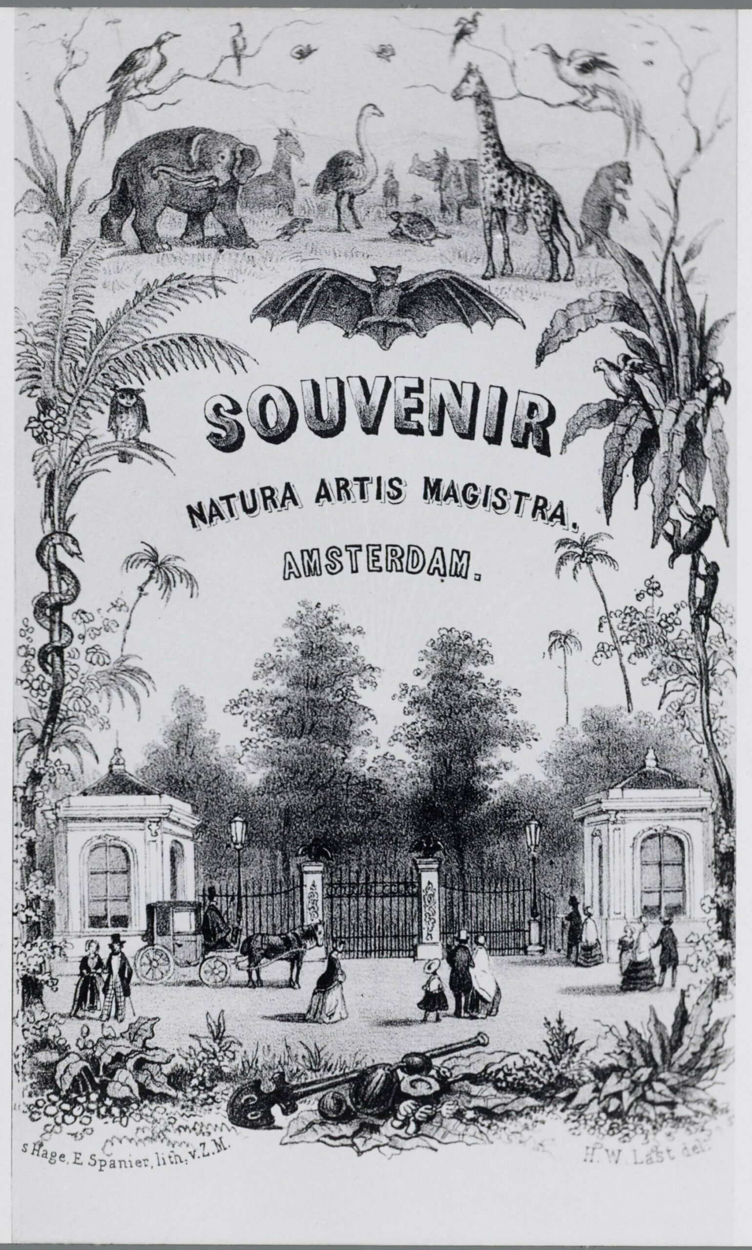 Souvenir Amsterdam Zoo