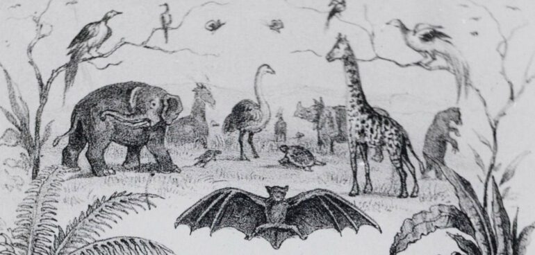 Natura Artis Magistra 1856