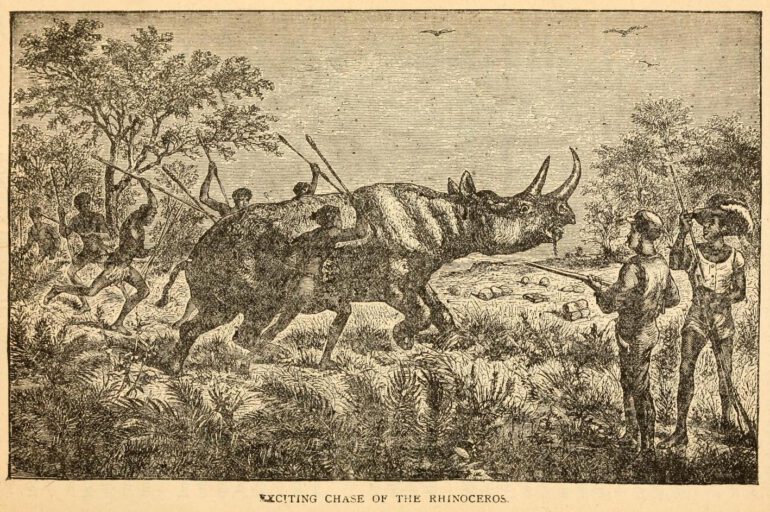 Northrop 1889 Exciting Chase