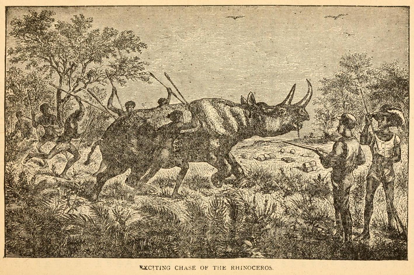 Northrop 1889 Exciting Chase