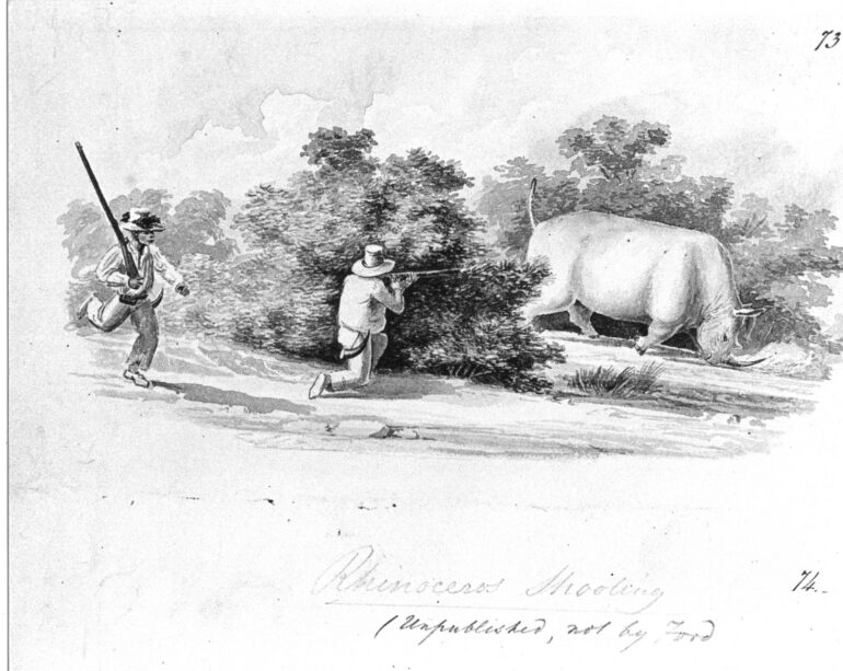 Rhinoceros Shooting