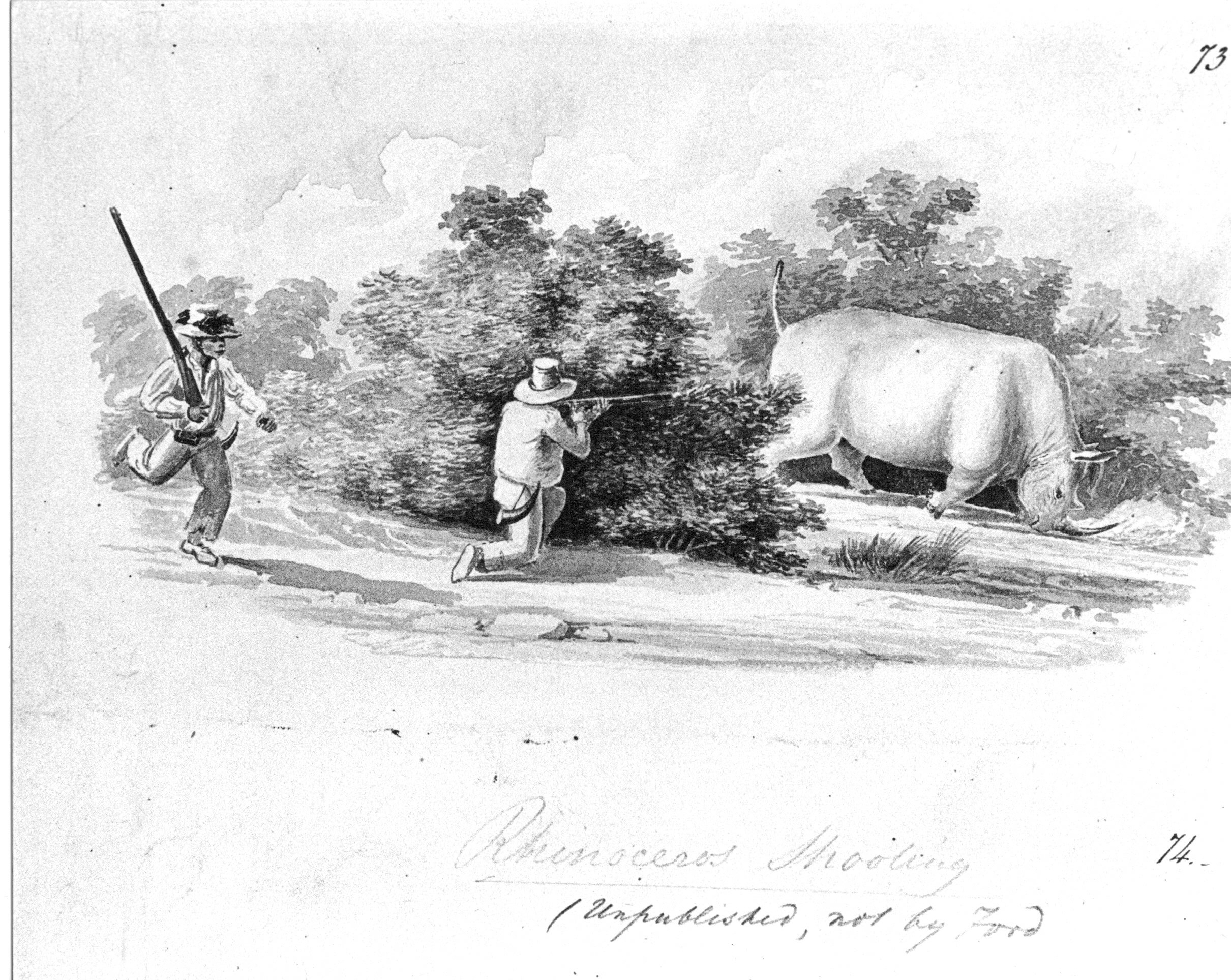 Rhinoceros Shooting