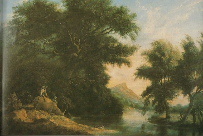 White Rhino on Crocodile River