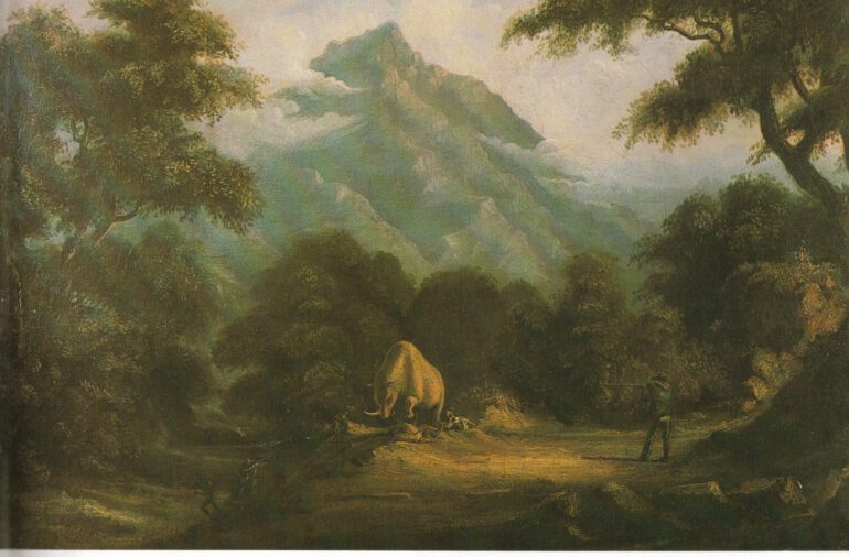 White Rhino at Crocodile River