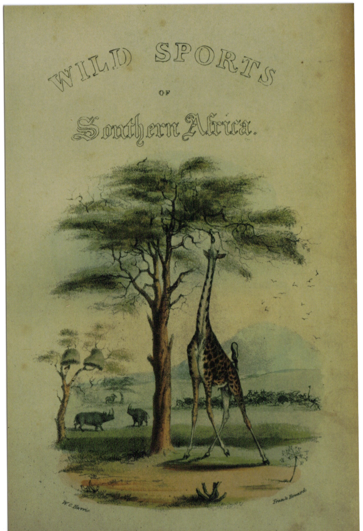 Harris 1841 Wild Sports