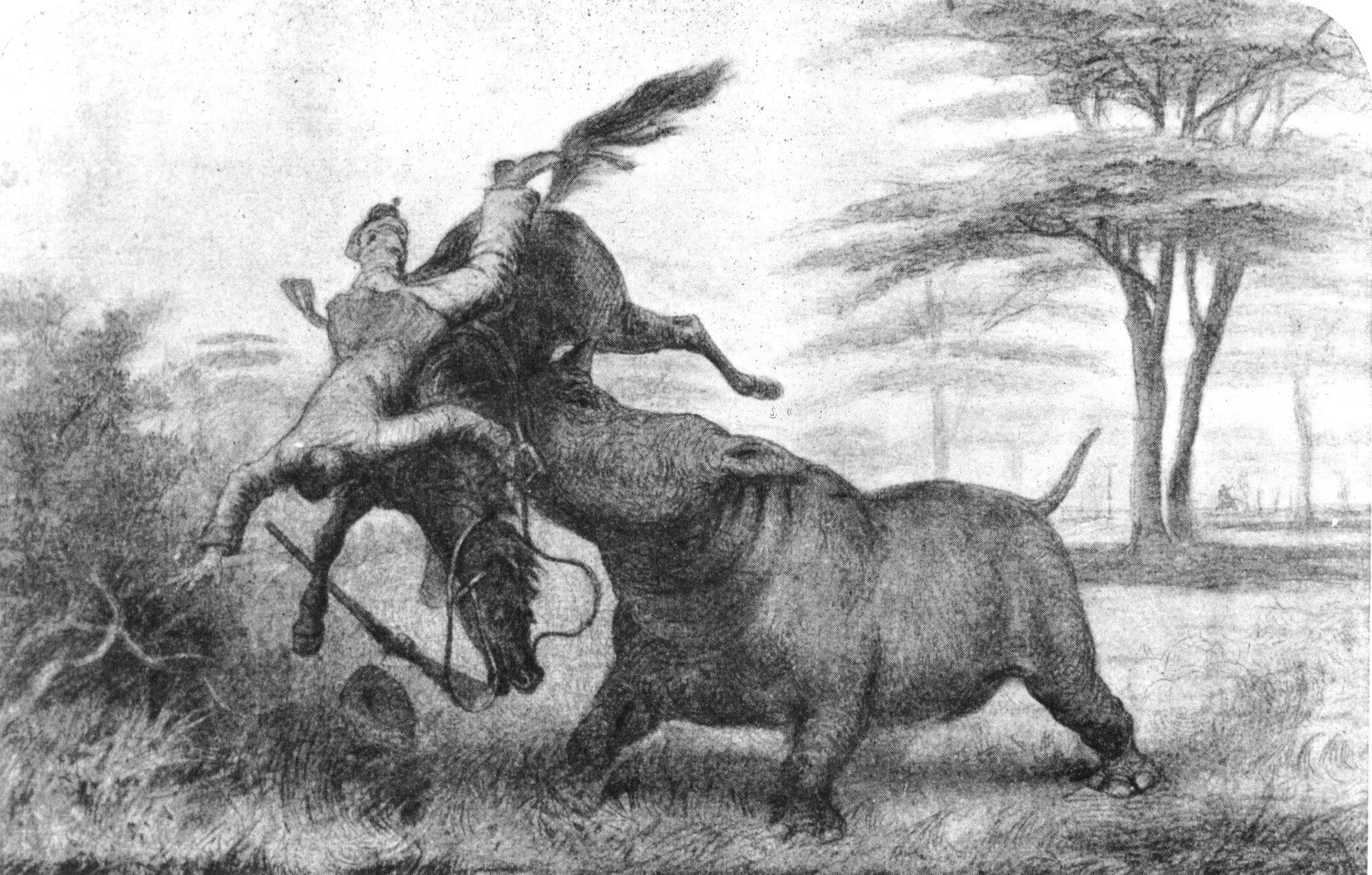 Oswell 1900 Attack