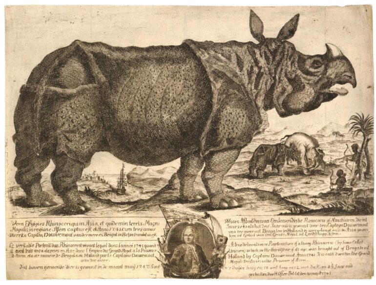 Clara 1747 British Museum