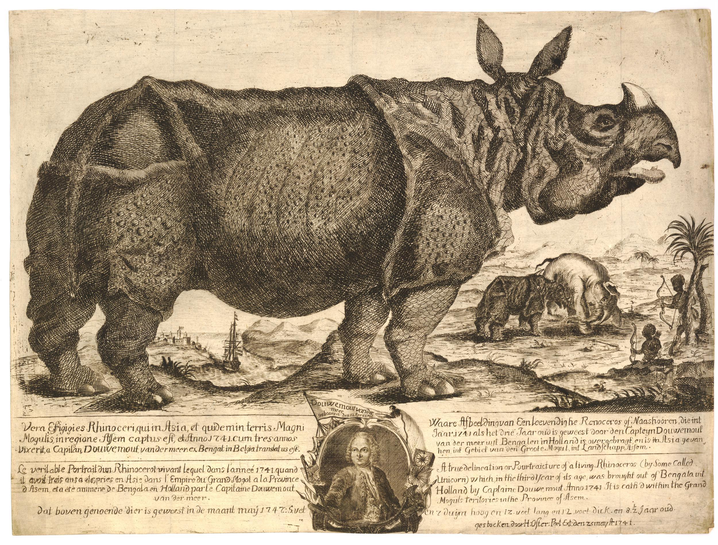 Clara 1747 British Museum