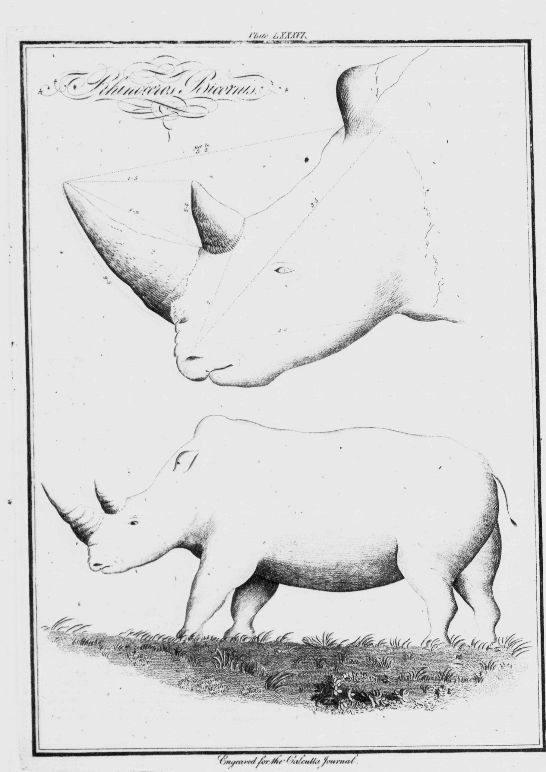 Calcutta Journal 1822