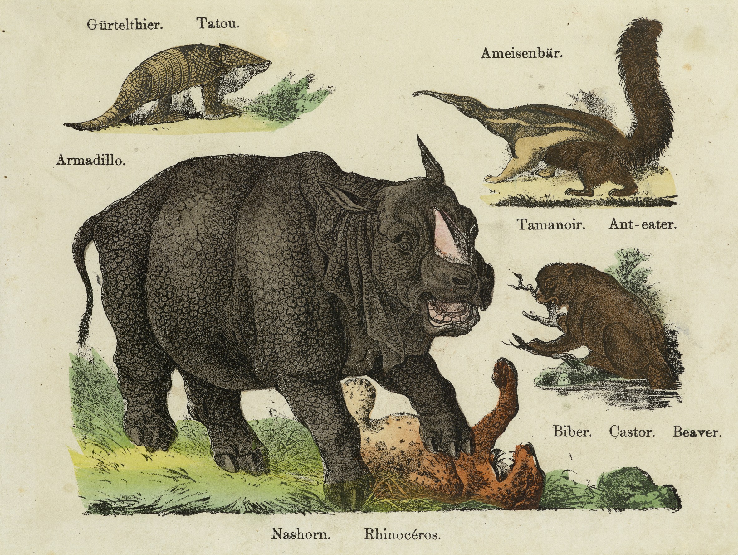 Canton composite plate