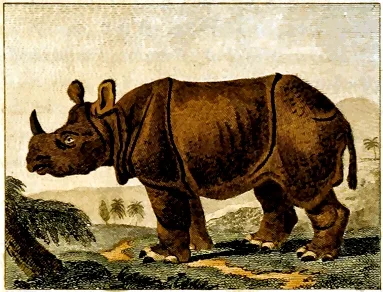 Barr’s Buffon 1797