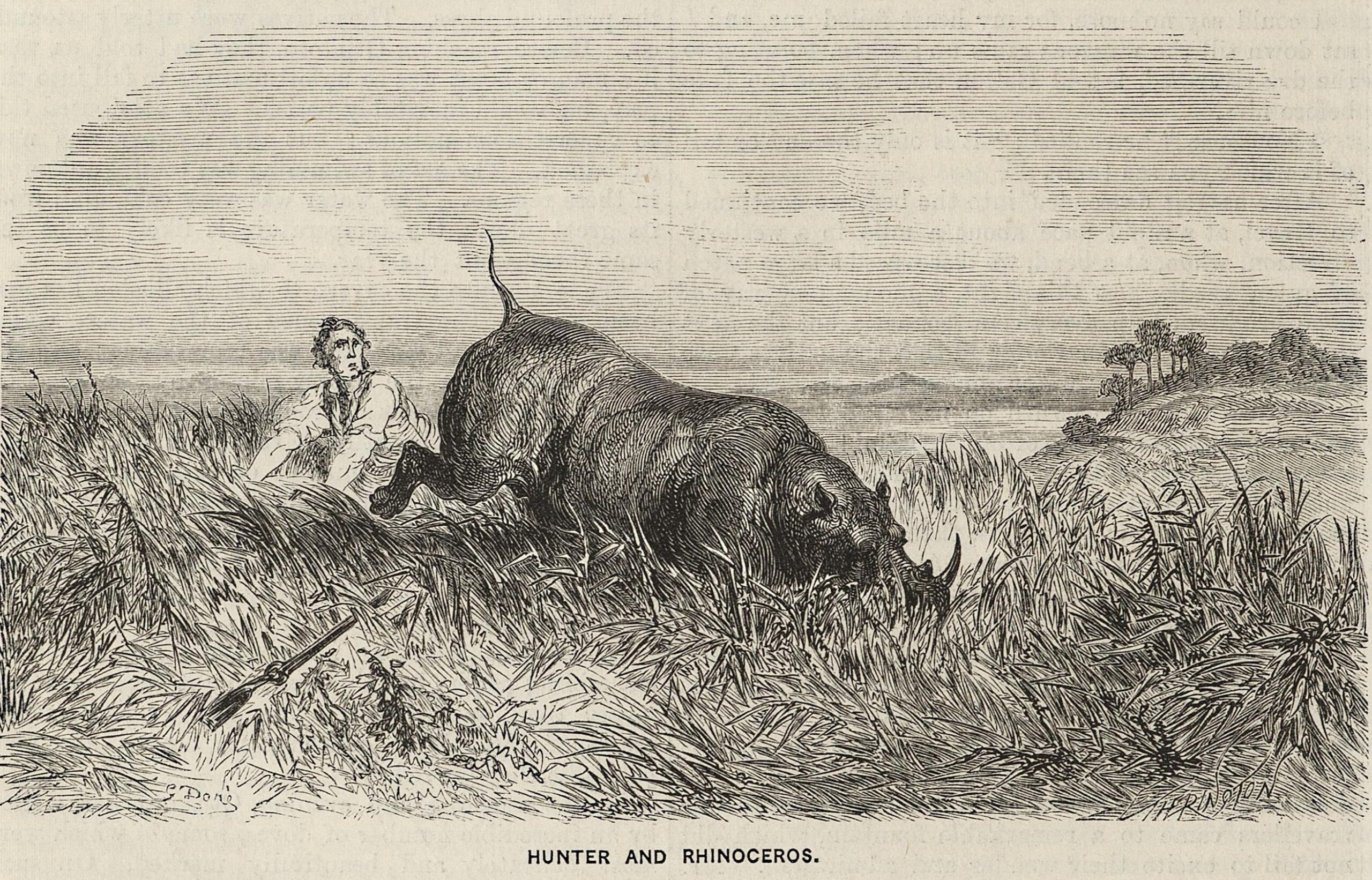 Hunter and rhino 1862