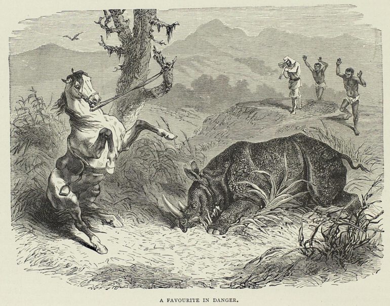 Favourite attacking horse