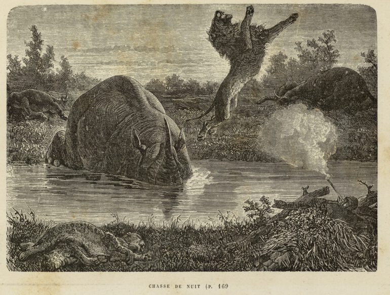 Baldwin 1879 Chasses de Nuit