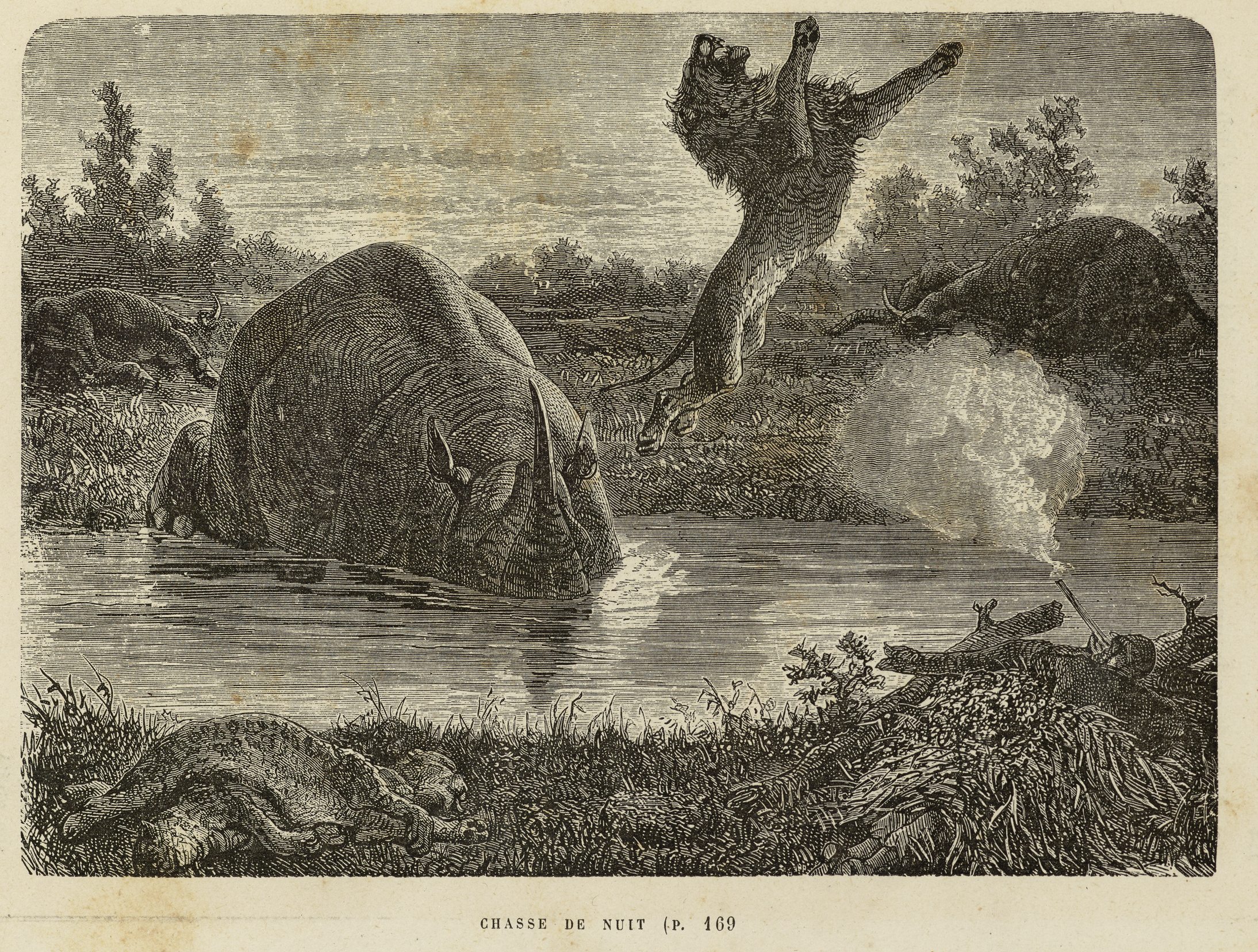 Baldwin 1879 Chasses de Nuit