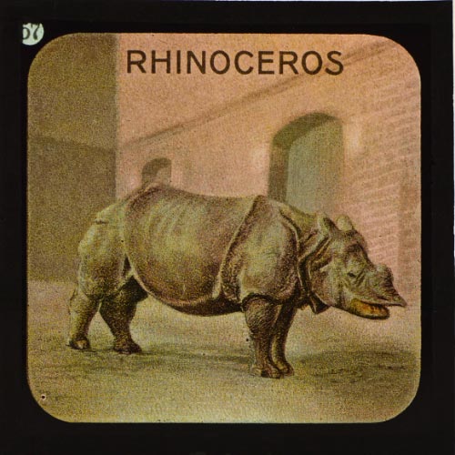 London Zoo glass slide