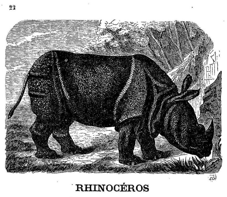 Alphabet 1830 for young people