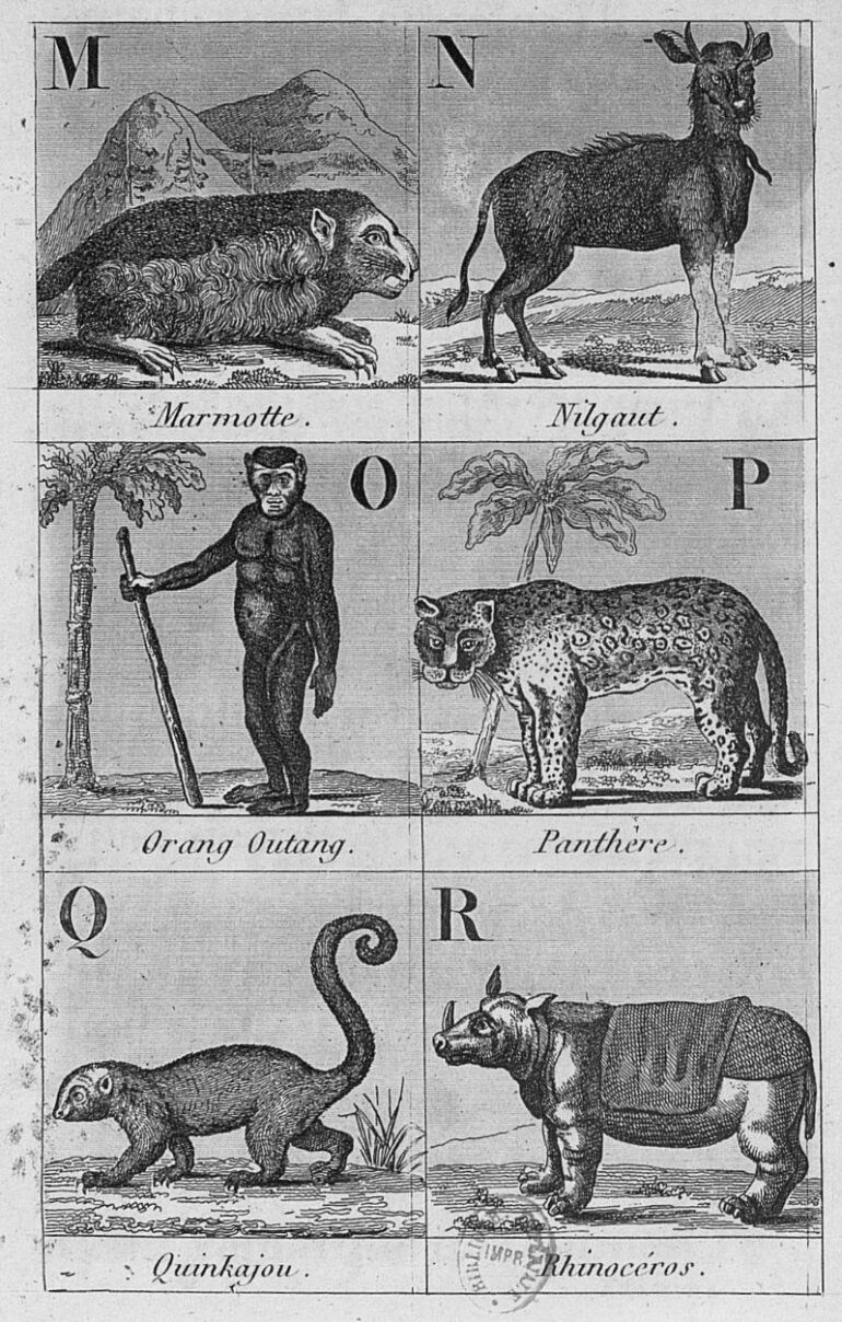 Hocquart 1861 Alphabet