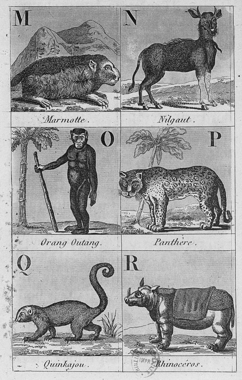 Hocquart 1861 Alphabet