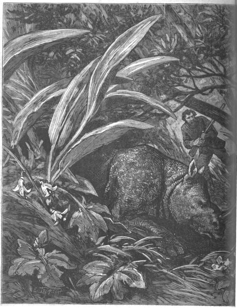 Boussenard 1885 hunt