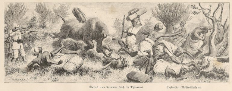 Charging a Caravan in Africa