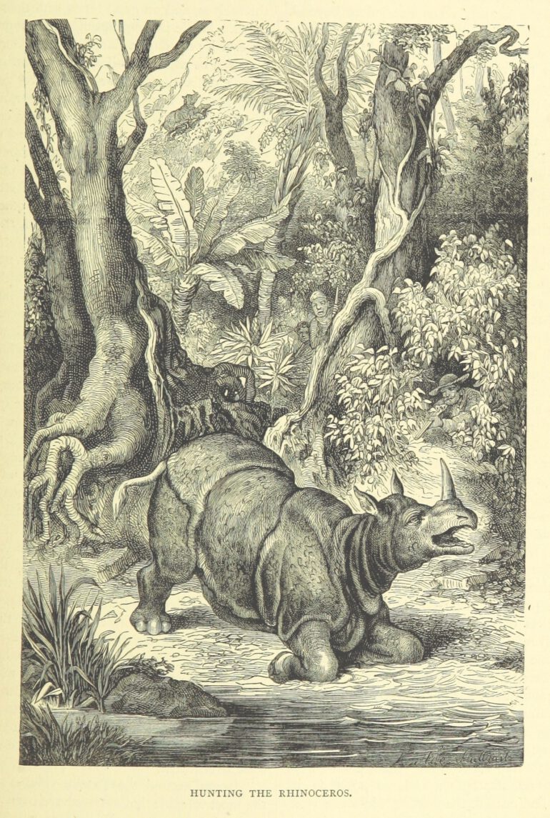 Livingstone 1876 Hunting Rhinoceros