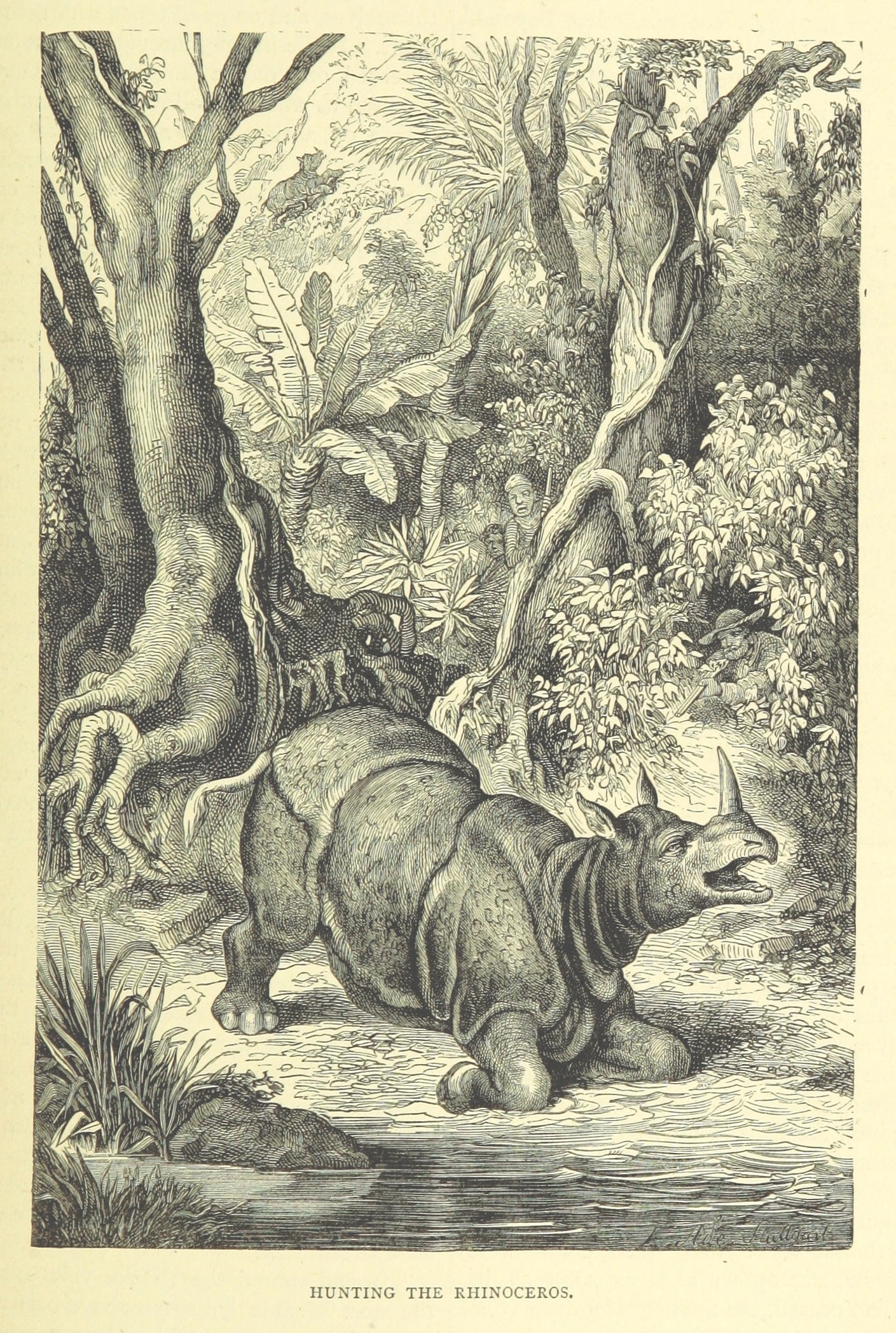 Livingstone 1876 Hunting Rhinoceros