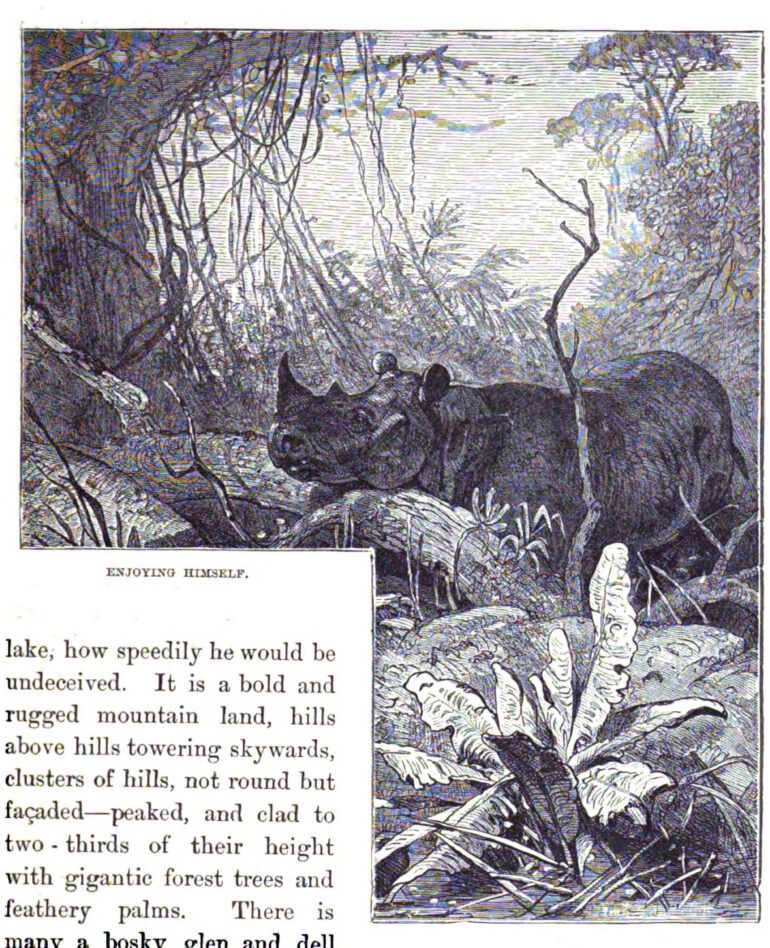 Stables 1881 Enjoying