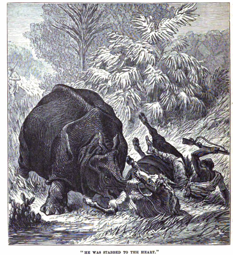 Stables 1881 Stabbed