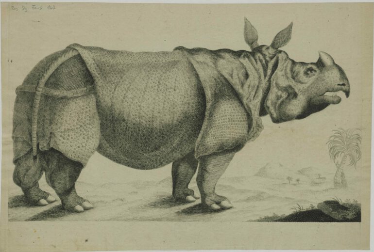 Broadsheet Clara without text