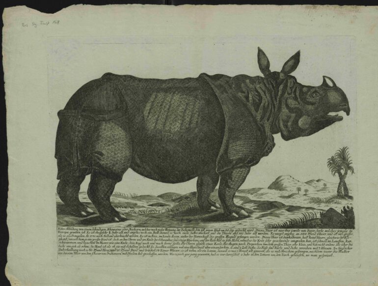 Broadsheet Clara about 1747