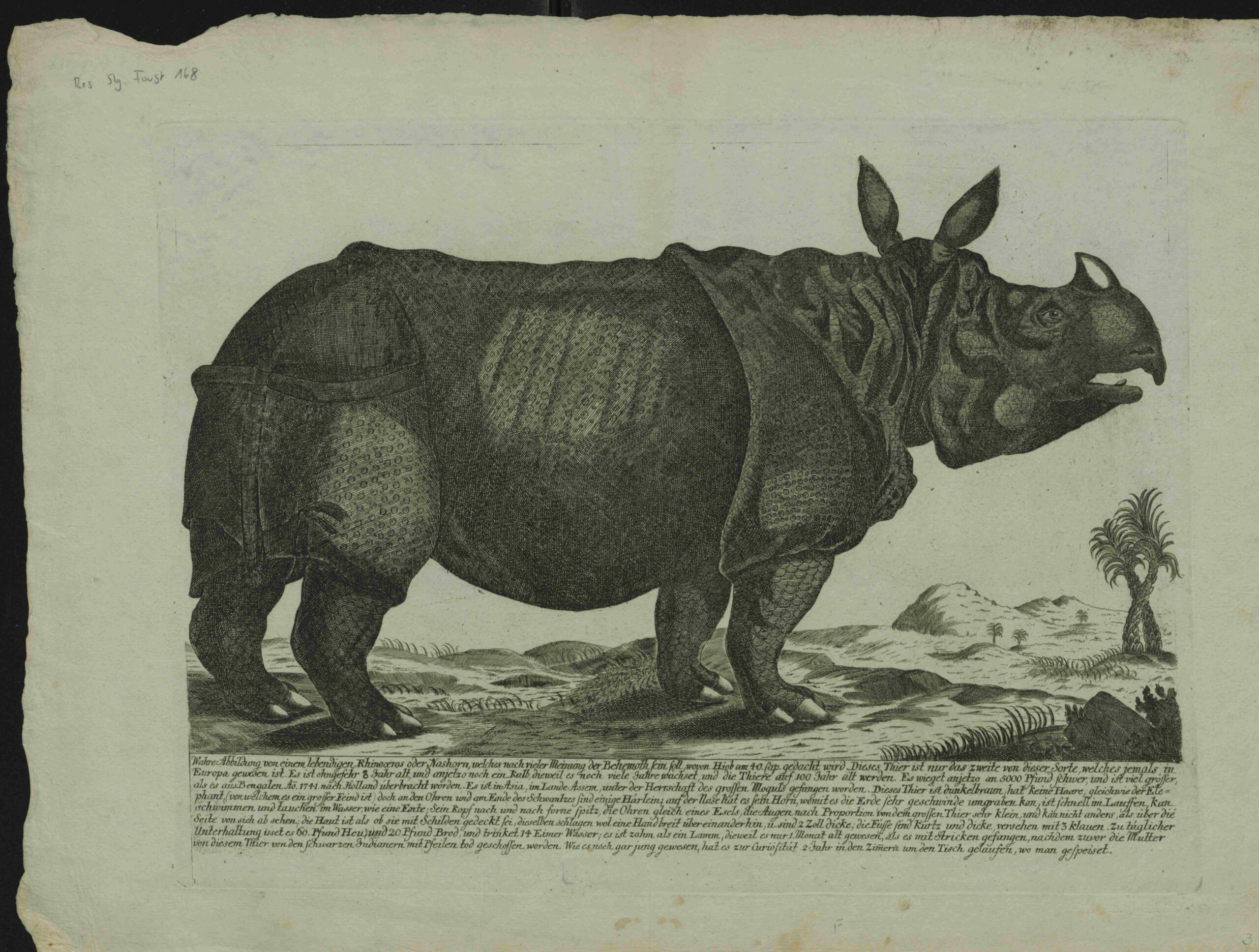 Broadsheet Clara about 1747