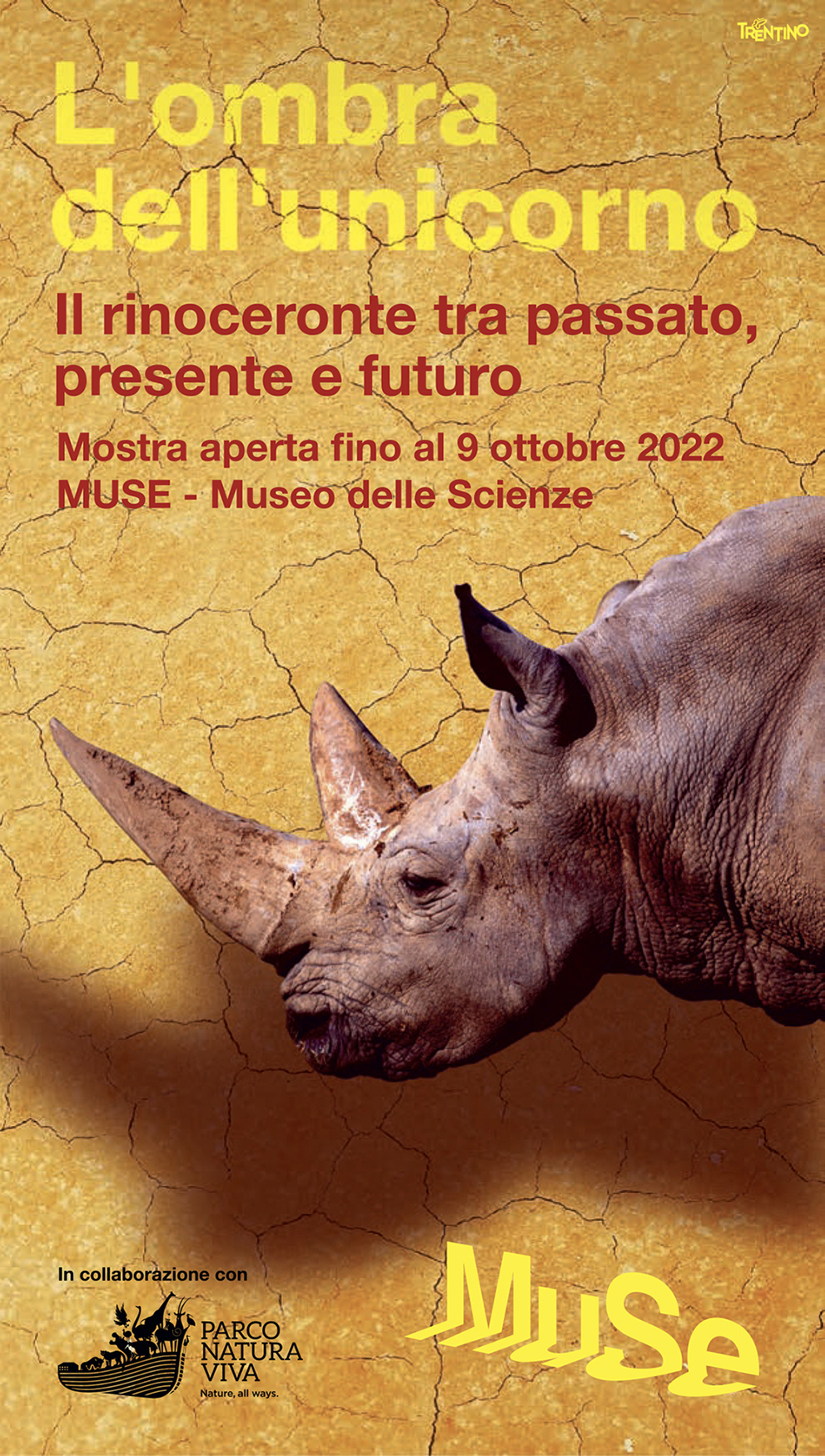 L’ombra dell’Unicorno – Il Rinoceronte tra passato