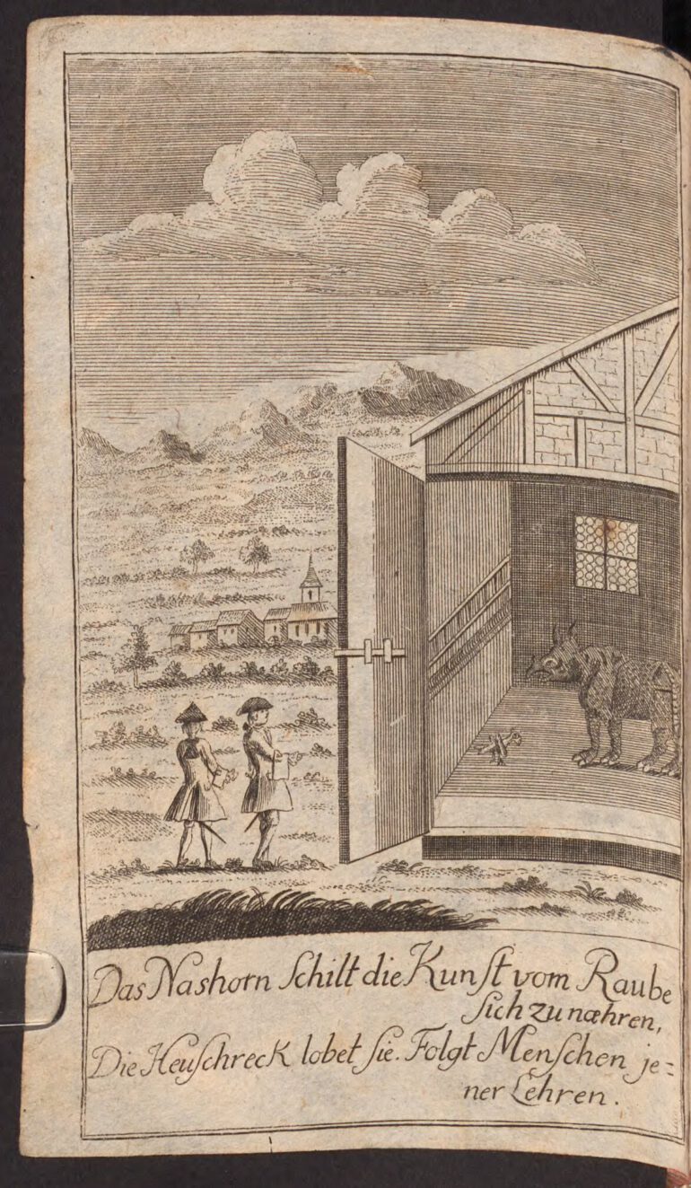 Dialogue of rhino and grasshopper