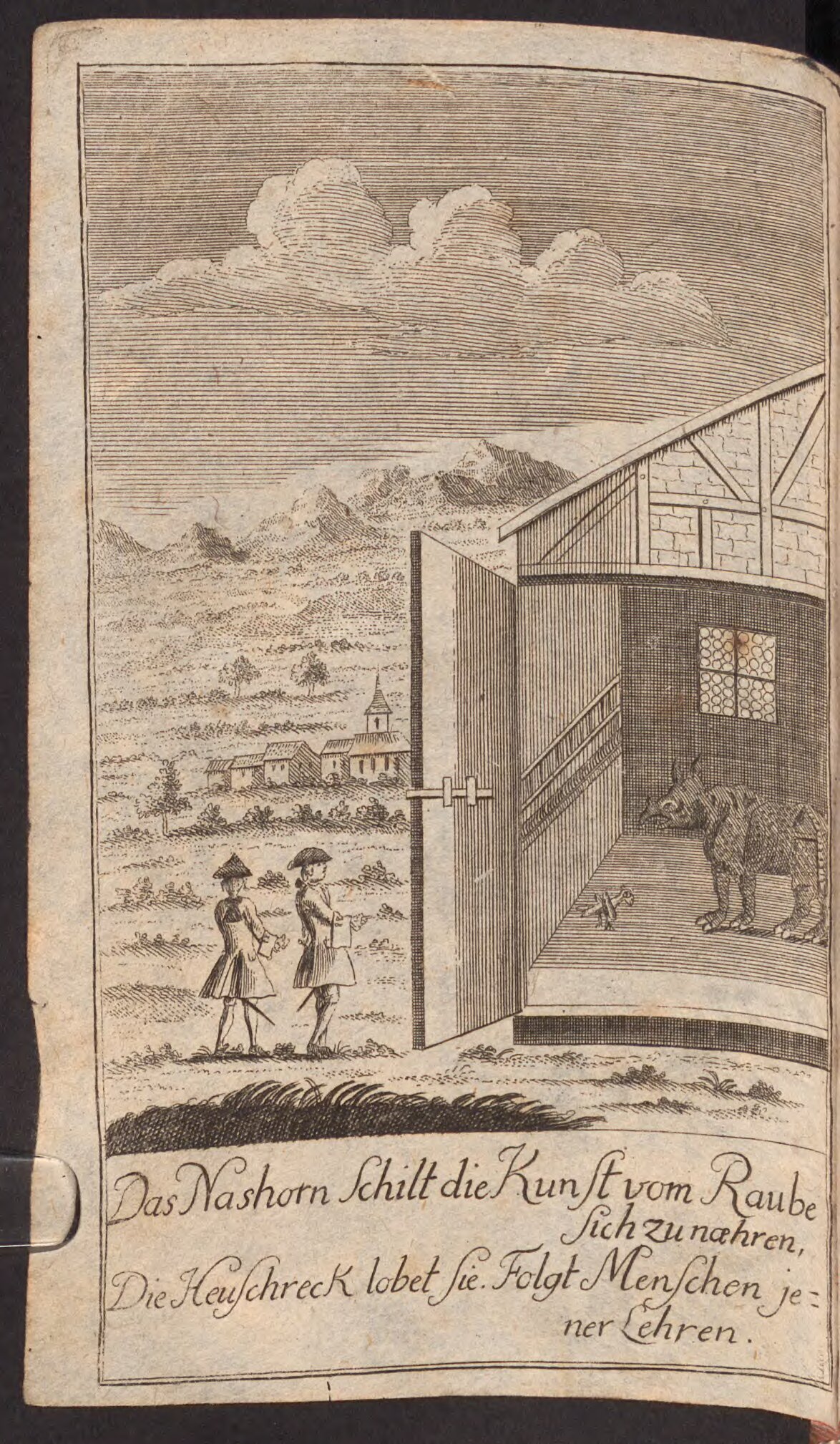 Dialogue of rhino and grasshopper