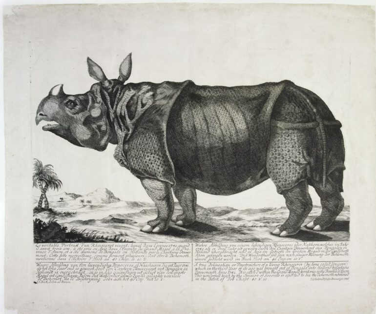 Clara in Braunschweig 1746