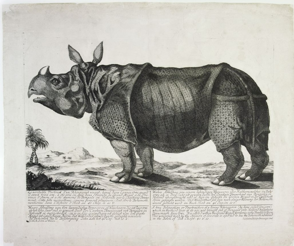 Clara in Braunschweig 1746