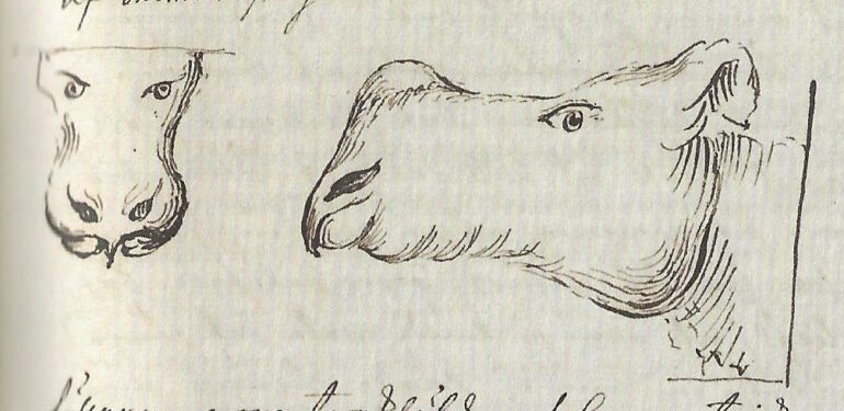 Clara 1741 in Amsterdam