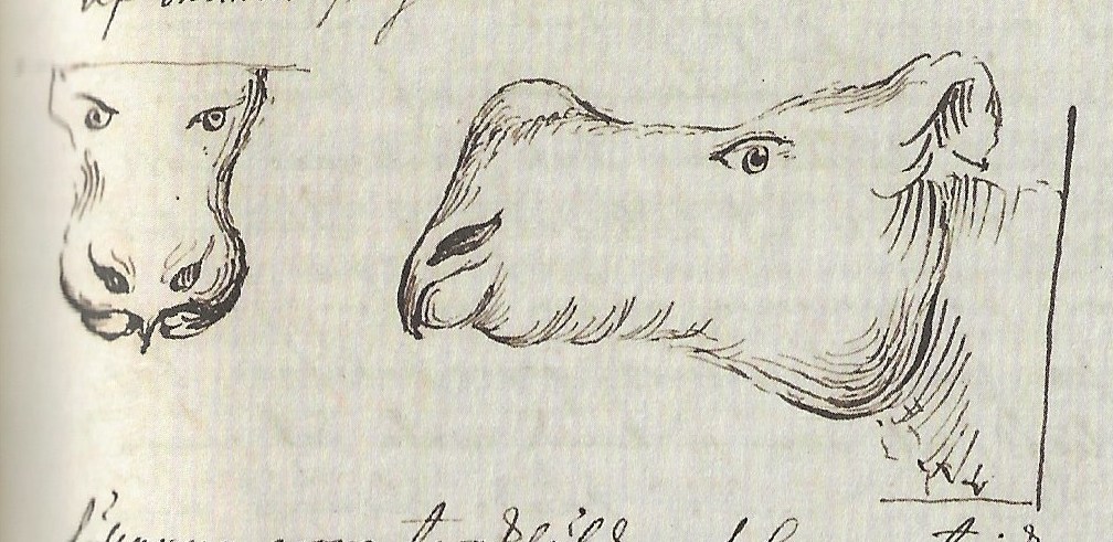 Clara 1741 in Amsterdam