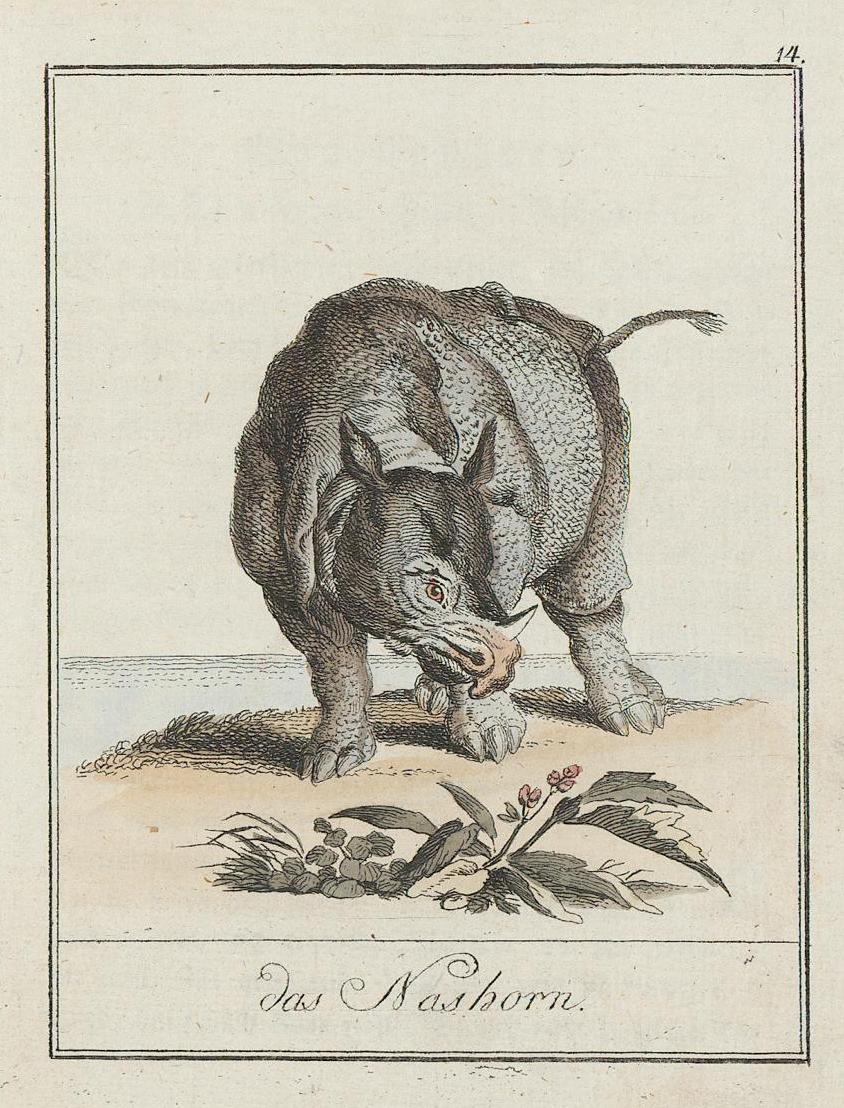 Gallery of strange animals 1804