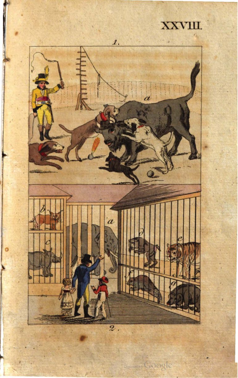 Chimani 1816 Nasehorn