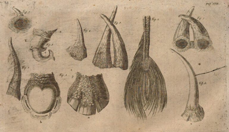 Schroeder 1748 Parsons Parts