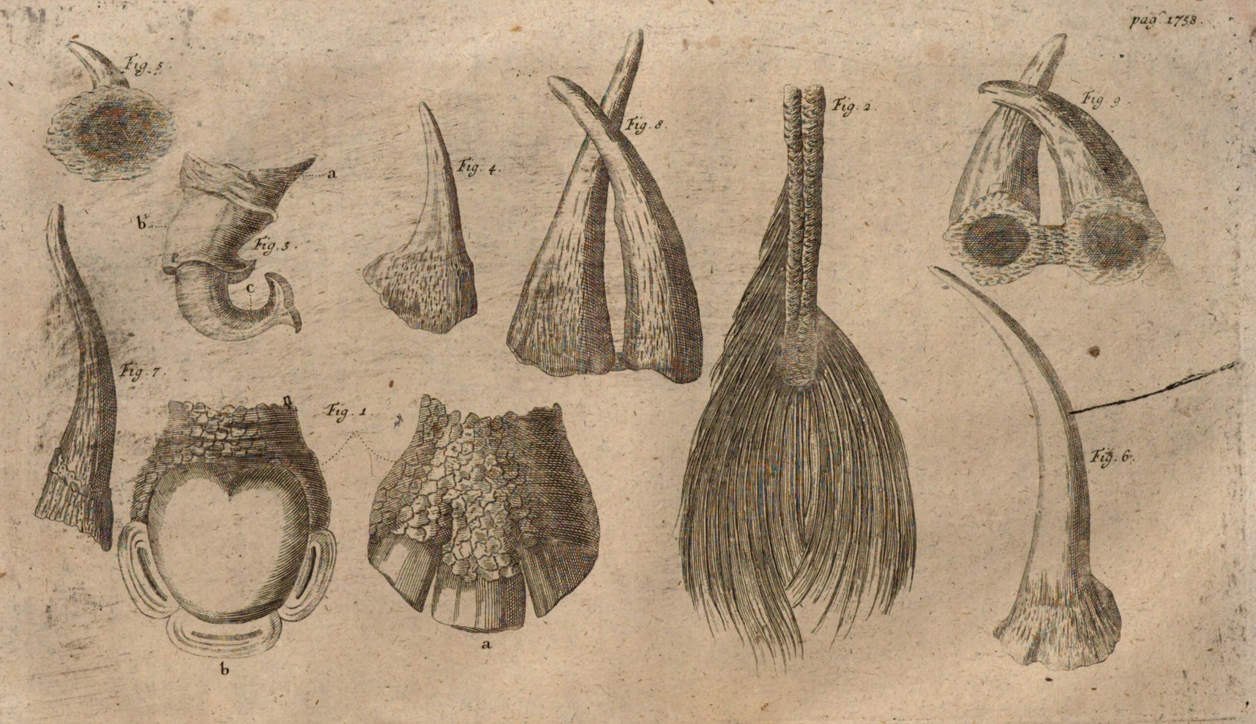 Schroeder 1748 Parsons Parts