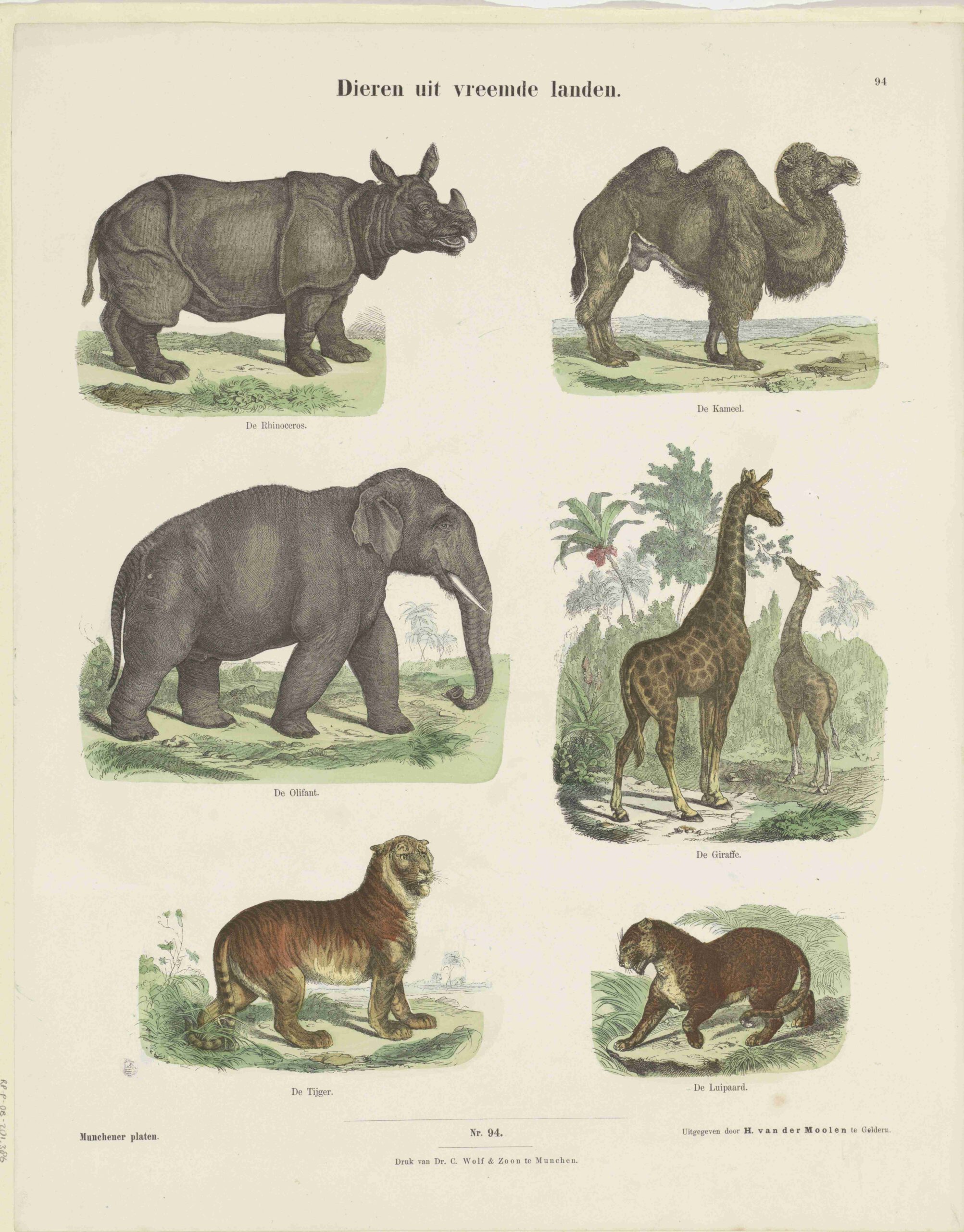 Munchener Plates 1862